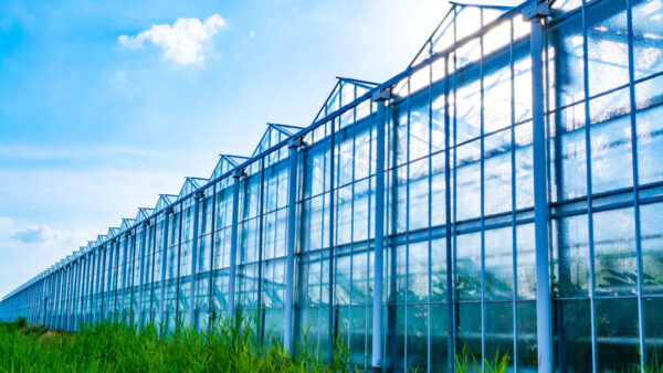 Kasreparatie & schadeservice