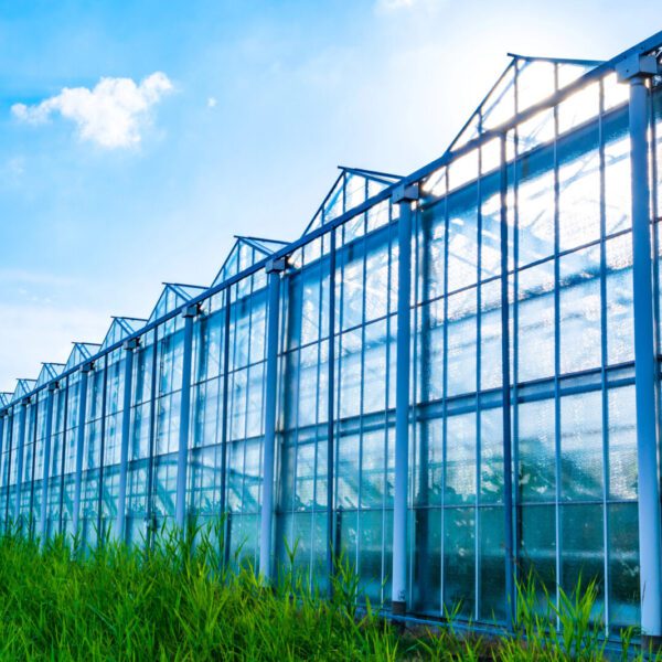 Kasreparatie & schadeservice